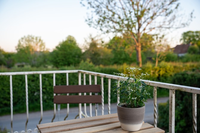 Ferienwohnung in Lenste - Ferienbauernhof Kruse Wohnung 1 - Bild 12