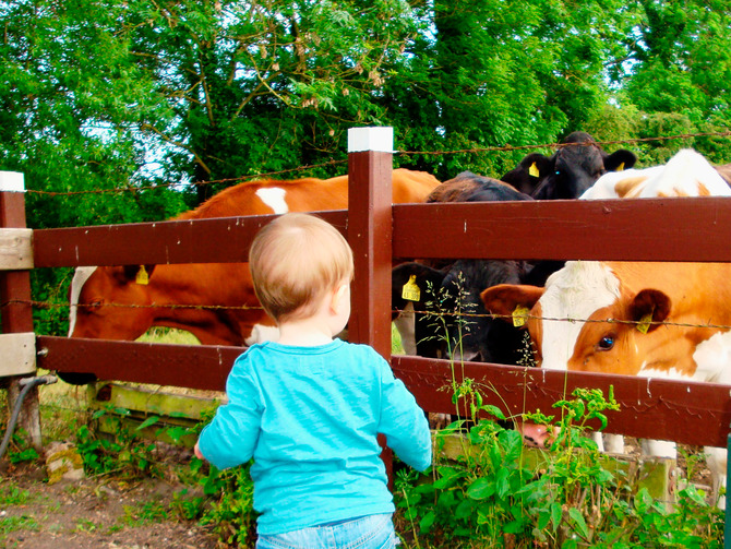Ferienwohnung in Fargemiel - Hof Pr&uuml;&szlig; - Bild 8