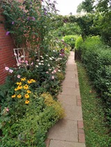 Ferienwohnung in Pelzerhaken - Obst - Bild 12