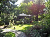 Ferienwohnung in Gronenberg - Am Alten Backhaus - Mitbewohner im Garten
