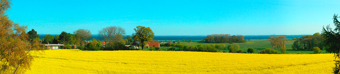 Ferienwohnung in Rettin - Ferienhof Hansen Seeigel - Blick aus dem Wohnzimmer