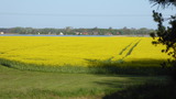 Ferienwohnung in Gingst - Gut Rattelvitz - Parterre Ost (A) - Bild 11