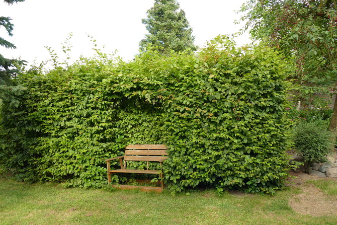 Ferienwohnung in Cismar - Landhus Lensterbek N&deg; 2 - Bild 18