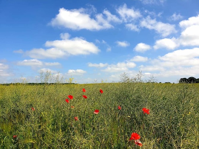 Ferienwohnung in Gr&ouml;mitz - Ferienparadies Gr&ouml;mitz - Radtour &uuml;bers Land