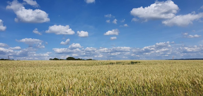 Ferienwohnung in Gr&ouml;mitz - Ferienparadies Gr&ouml;mitz - Auf dem Radweg zum Strand