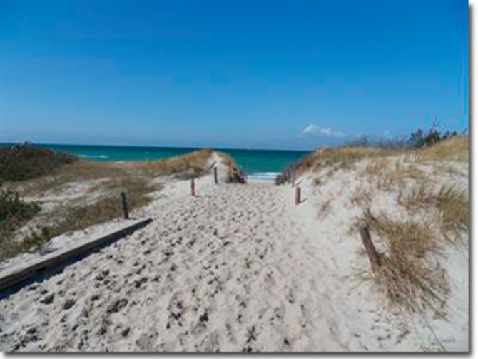 Ferienwohnung in Ostseeheilbad Zingst - Klassik - Bild 11