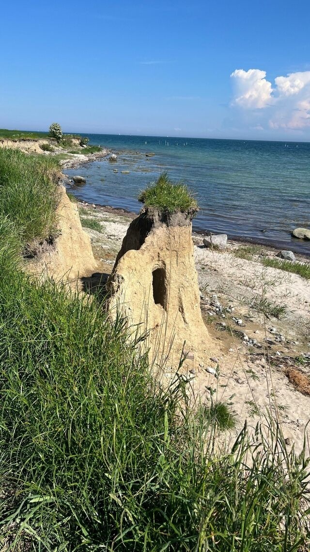 Ferienwohnung in Gro&szlig;enbrode - Ferienwohnung Meeresblick - Bild 21