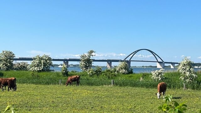 Ferienwohnung in Gro&szlig;enbrode - Ferienwohnung Meeresblick - Bild 22
