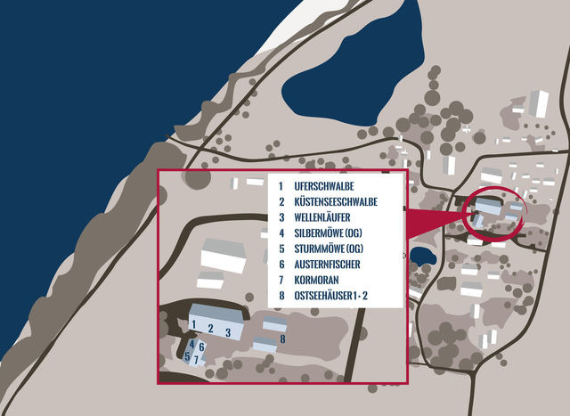 Ferienwohnung in Fehmarn OT Westermarkelsdorf - K&uuml;stenseeschwalbe - Bild 16