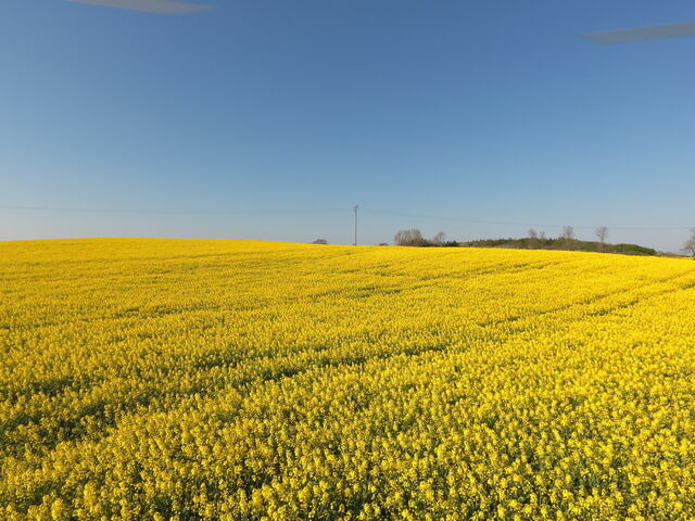 Ferienwohnung in Rabenkirchen-Faulück - Schleiblick App. 12 - Bild 12