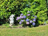 Appartement in Haffkrug - Muschelsucher Backbord - Impressionen