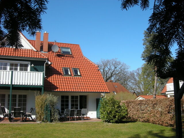 Ferienhaus in Prerow - Kormoran Muschelsucher - Bild 3