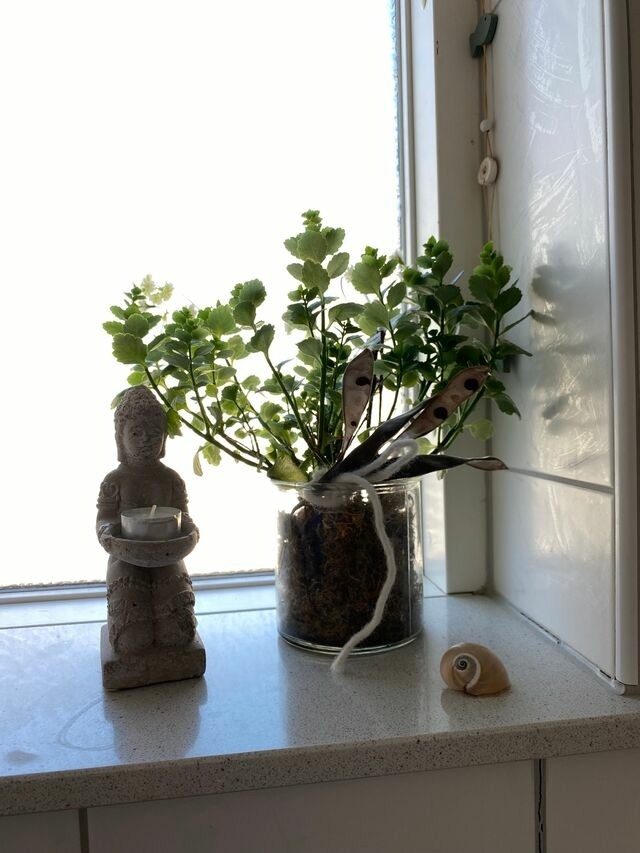 Ferienwohnung in Eckernförde - Casa Cinzia (Sara) - Bild 12