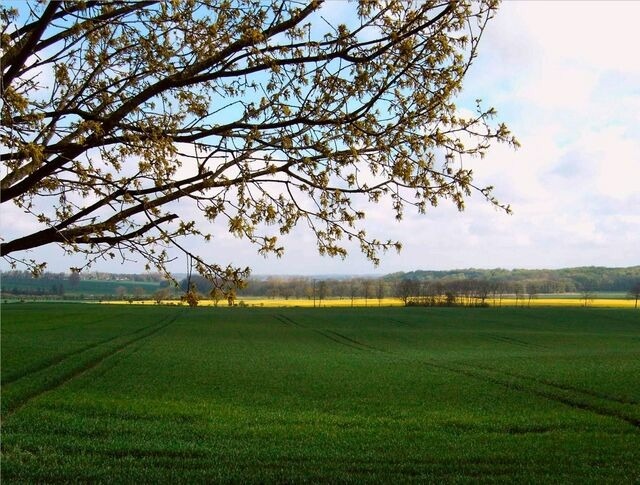 Ferienwohnung in Holtsee - Landhaus mit Weitblick - Bild 14