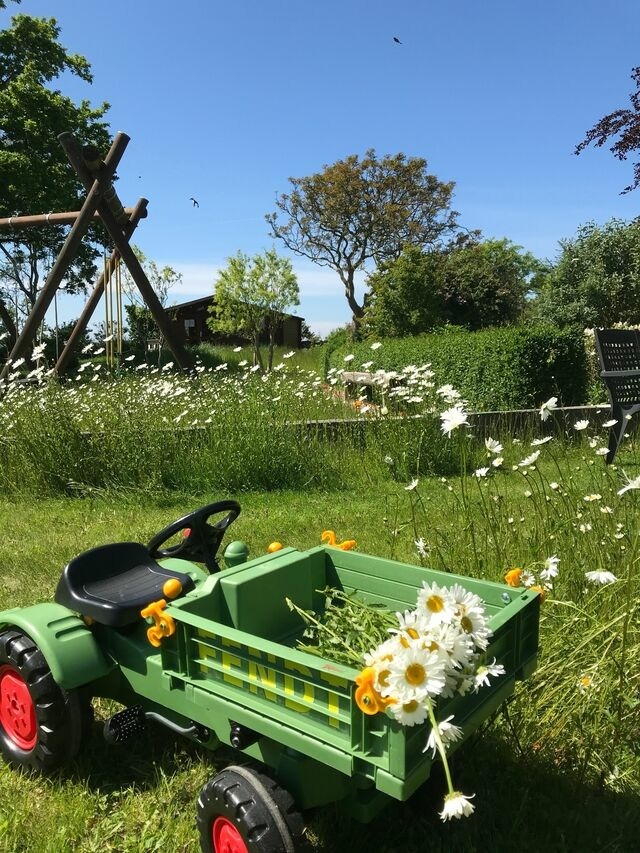 Ferienwohnung in Fehmarn OT Sulsdorf - Bauerhof Kleingarn - Bauernhus 11 - Bild 14