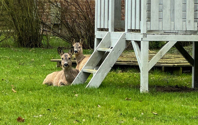 Ferienwohnung in Fehmarn OT Staberdorf - "Landhaus Voss" Typ 2 Nr.5 - Bild 24