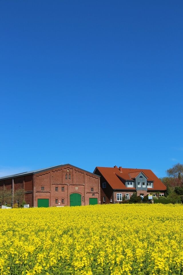 Ferienwohnung in Fehmarn OT Meeschendorf - Kleingarn - "Meeresblick" Nr.12 - Bild 11