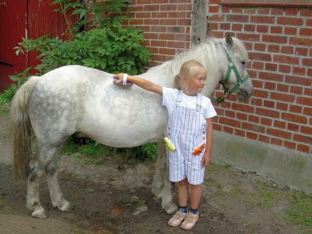 Ferienwohnung in Fehmarn OT Vadersdorf - AbendLicht - Bild 6