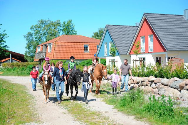 Ferienwohnung in Fehmarn OT Todendorf - Bauernhof K&ouml;hlbrandt - Terrassenwohnung - Bild 5