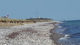 Ferienhaus in Fehmarn OT Marienleuchte - Feriendoppelhaushälfte Möwenblick - Bild 25