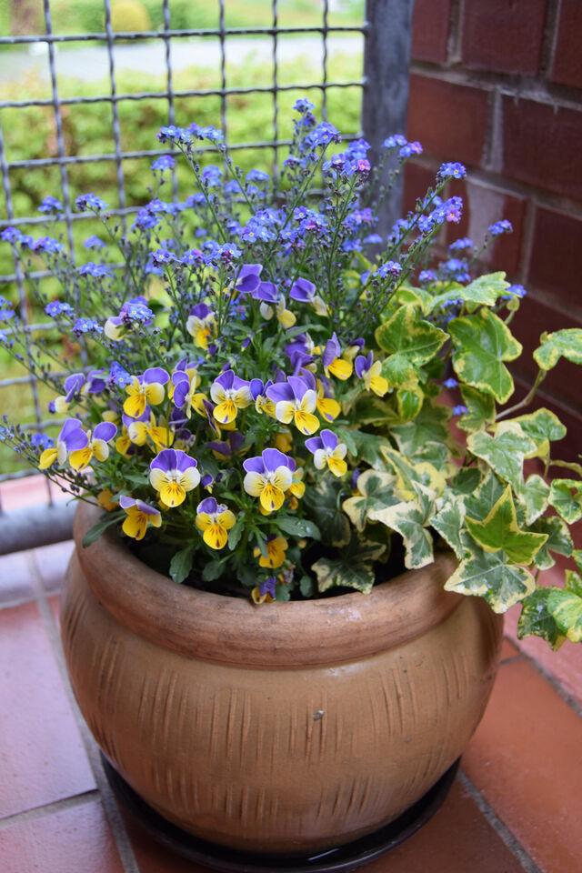 Ferienwohnung in Schönberger Strand - Venus, S. & H.: App. (Nr. 11) - Bild 9