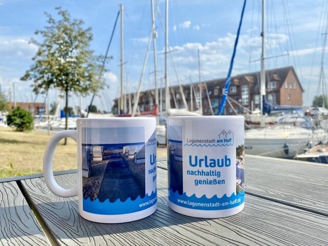 Ferienwohnung in Ueckermünde - Lagunenstadt am Haff Fewo 33 - Pallas - Bild 16