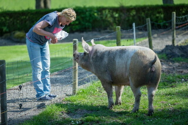Ferienwohnung in Fehmarn OT Lemkendorf - Ferienhof Becker - Fehmarnliebe - Bild 11
