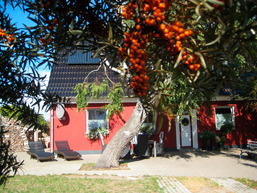 Strandhaus am Meer