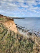 Ferienwohnung in Grömitz - Haus Baltic App. 132 - sonnige Balkonwohnung in Südwestlage - Bild 17