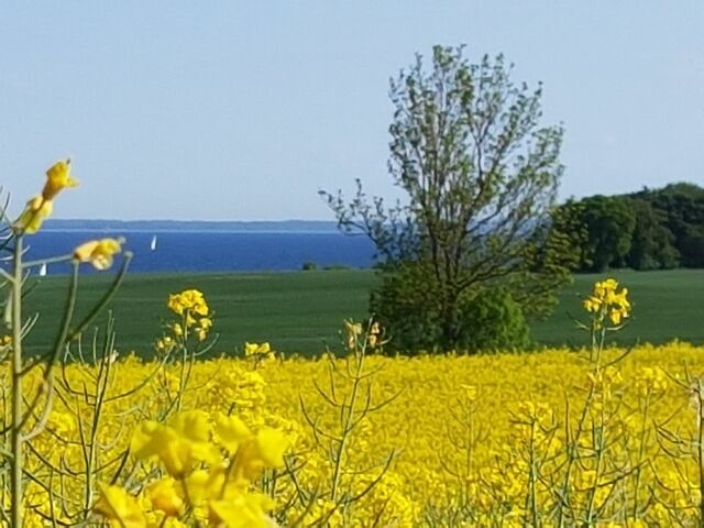 Ferienwohnung in Gr&ouml;mitz - Villa am Meer - App. 43 - Bild 21