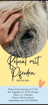 Ferienwohnung in Gr&ouml;mitz - "Pappelhof - Whg. 5" - Bild 24