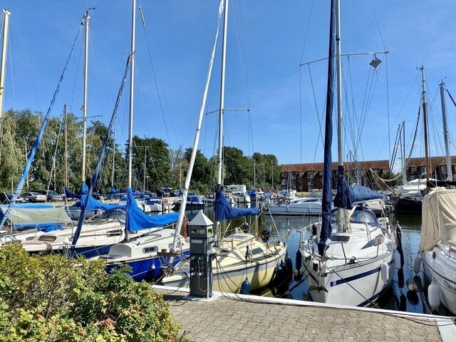 Ferienwohnung in Ueckermünde - Lagunenstadt am Haff Fewo 204 - Warp - Bild 11