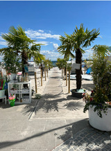 Ferienwohnung in Gr&ouml;mitz - Ferienwohnung "Wolkenstein" - Villa Gr&uuml;ntal - Bild 24