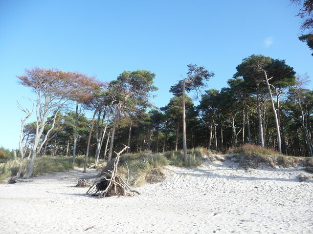 Ferienwohnung in Prerow - FeWo Abendsonne - Bild 25
