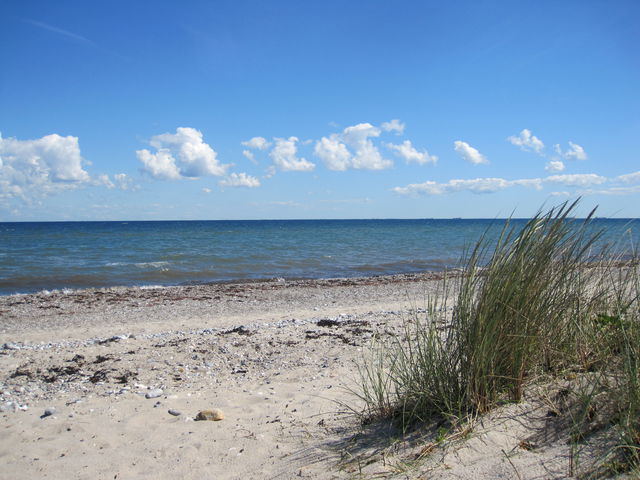 Ferienwohnung in Fehmarn OT Petersdorf - Fewo im Kastania Nr.19 - Bild 9