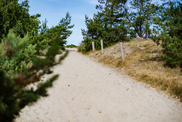Ferienwohnung in Dierhagen - DER STÖRTEBEKER - "Apartment Born" | Apartments hinter den Dünen - Bild 15