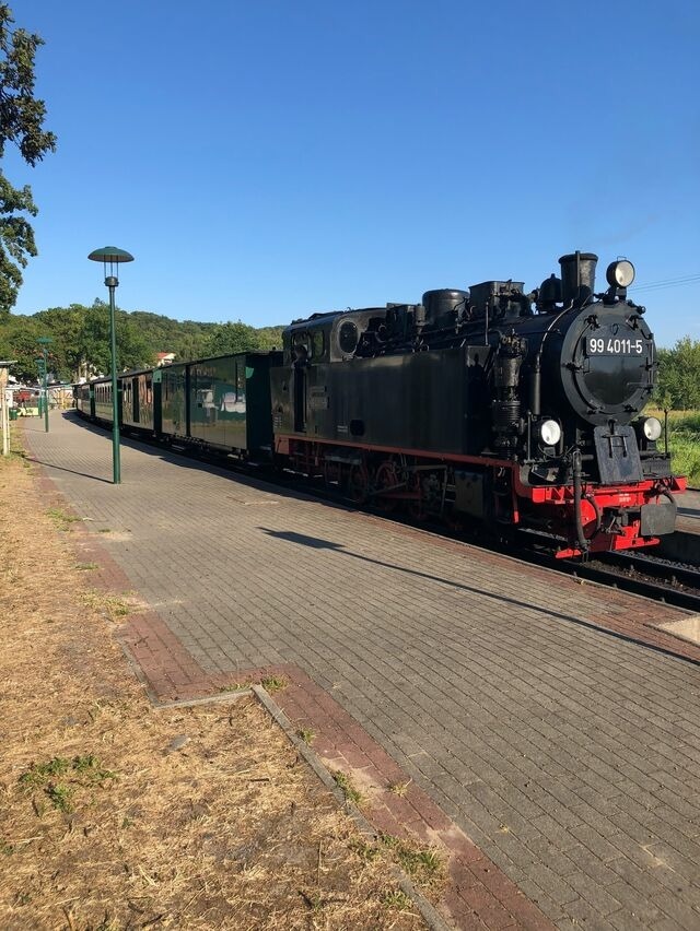 Ferienwohnung in Sellin - Ferienhaus zum Südstrand App. 1 - Bild 19