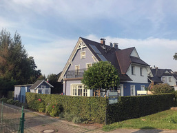 Die Kornblume