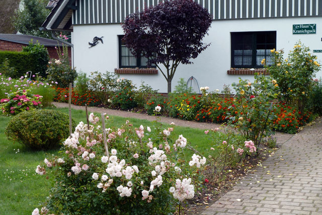 Ferienwohnung in Zingst - Kranichguck, App. 2 - Bild 10