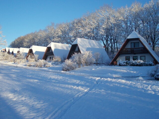 Ferienhaus in Marlow - Finnhäuser am Vogelpark - Haus Anke - Bild 12
