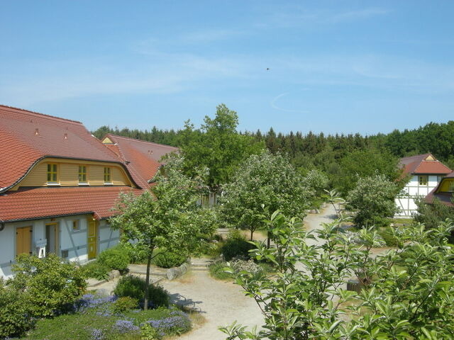 Ferienwohnung in Bakenberg - Ferienparadies Rugana D09 - Bild 12