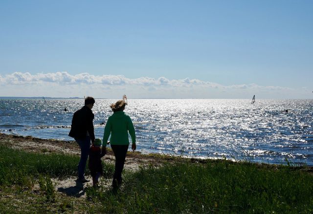 Ferienwohnung in Fehmarn - Knusthof Lafrenz - Apfelhofblick - Bild 8