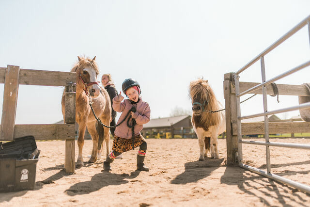 Ferienwohnung in Fehmarn - Ferienhof B&uuml;dlfarm - An der K&uuml;che - Bild 10