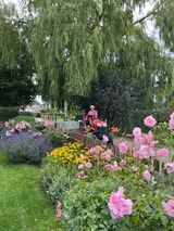 Ferienwohnung in Pantow - Pantow-Binz - Bild 16