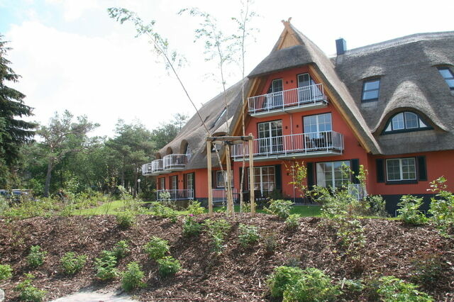 Ferienwohnung in Dierhagen - Garten-Maisonette-Ferienwohnung - Bild 4