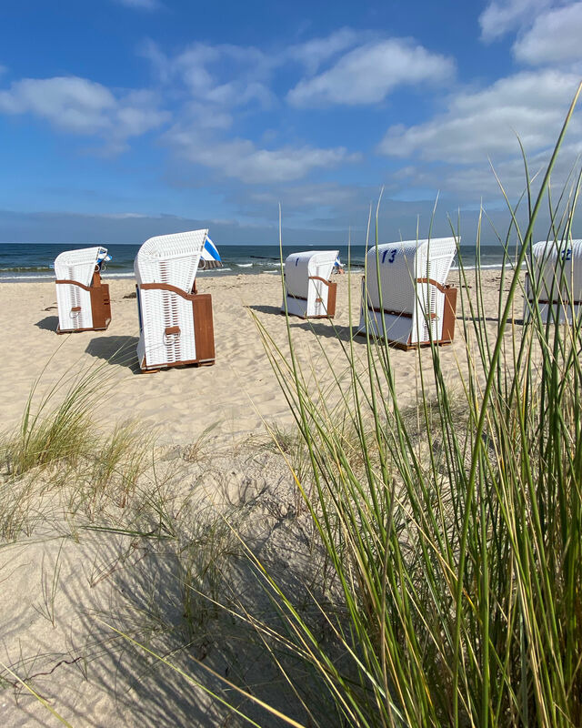 Ferienwohnung in Ückeritz - Seebär - Bild 18