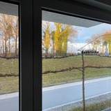 Ferienwohnung in Zingst - Seestraße 71 Ap. 7 - Bild 8