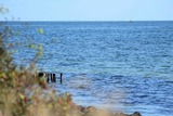 Ferienhaus in Fehmarn OT Staberdorf - Fehmarnstrand 78 RH 1 - Bild 21