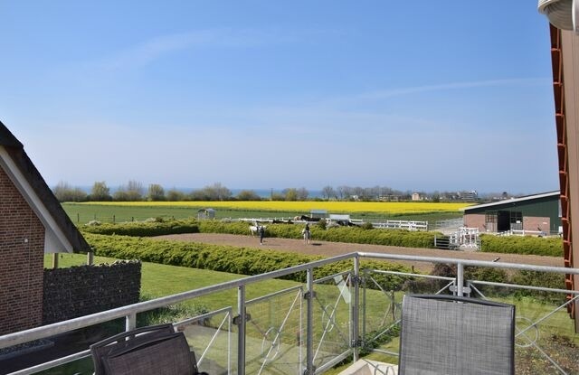 Ferienwohnung in Fehmarn OT Staberdorf - Pferdewiese - Bild 11