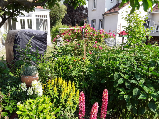 Ferienwohnung in Kühlungsborn - Ferienwohnung Haus Elly 4 - Bild 17